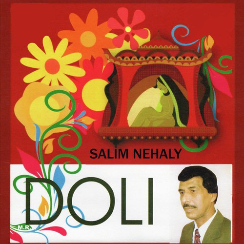Doli Kahar Liye Jayega by Salim Nehaly - Download on PagalFree