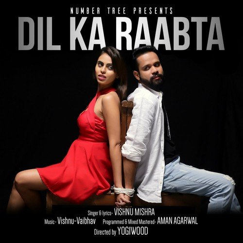 Dil Ka Raabta by Vishnu Mishra - Download on PagalFree