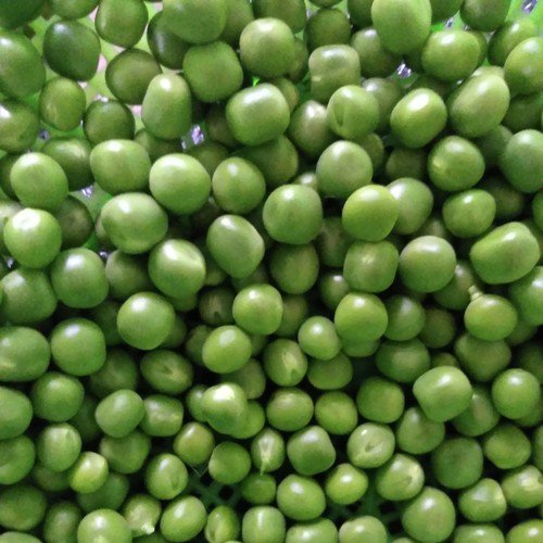 Dil Ke Pass by Arijit Singh - Download on PagalFree