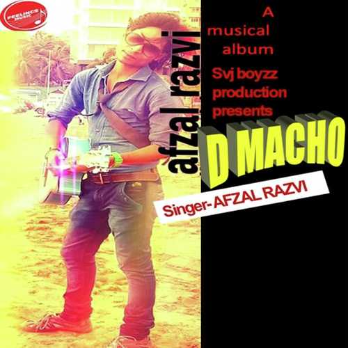 Alvida To Kah Du by Afzal Razvi - Download on PagalFree