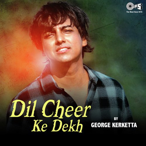 Dil Cheer Ke Dekh by Nadeem-Shravan - Download on PagalFree