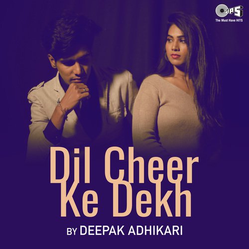 Dil Cheer Ke Dekh by Nadeem-Shravan - Download on PagalFree