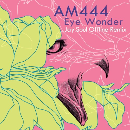 Eye Wonder (Jay.Soul Offline Remix) by Am444 - Download on PagalFree