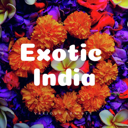 Bhajan by Various Artists - Download on PagalFree