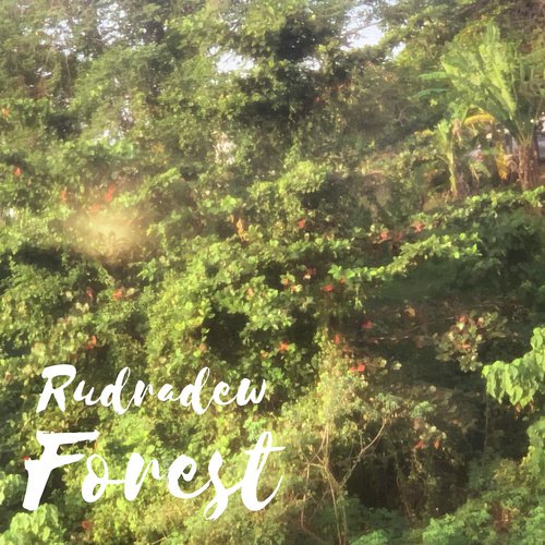 Forest by Rudradew - Download on PagalFree
