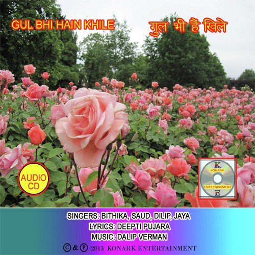 Sajan Tum Sun Lo by Dalip Verman - Download on PagalFree