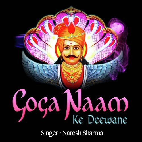 Haal Kya Hai Hamara O Goga Ji by Naresh Sharma - Download on PagalFree
