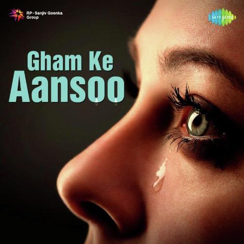 Din Dhal Jaye Haye (From Guide) by Various Artists - Download on PagalFree