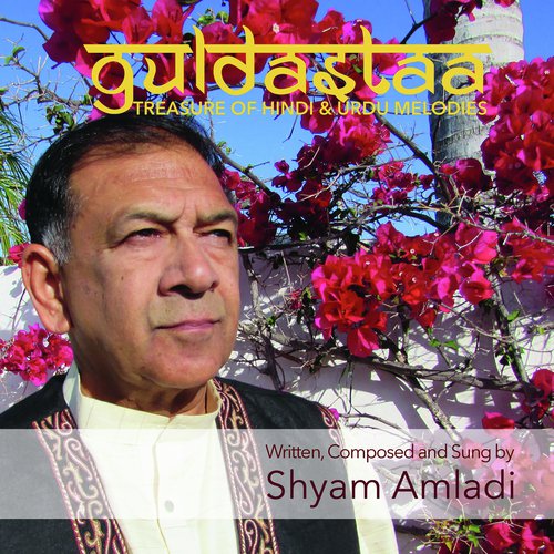 Chail Chabeele, Man Mohan Man Mohe by Shyam Amladi - Download on PagalFree
