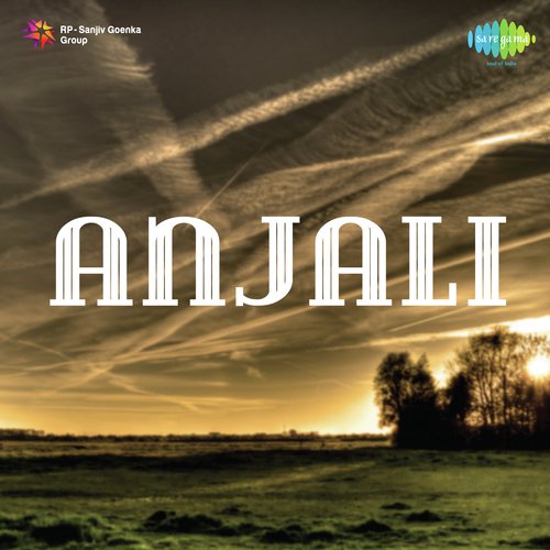 Chal Diwana by Various Artists - Download on PagalFree