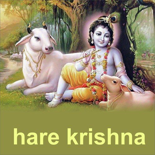 Hare Krishna Hare Krishna by Jagjit Singh - Download on PagalFree
