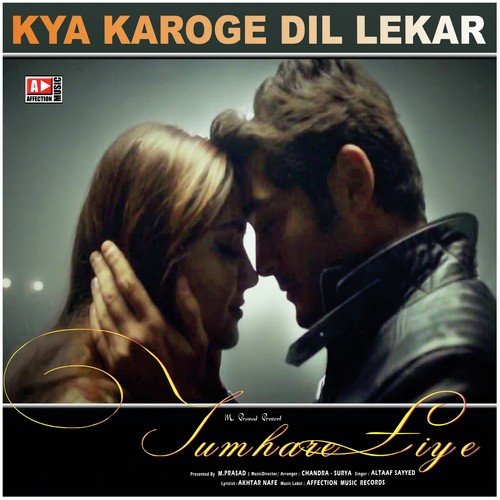 Kya Karoge Dil lekar by Altaaf Sayyed - Download on PagalFree