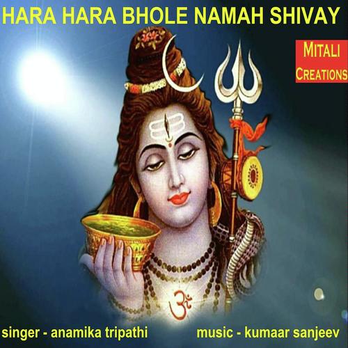 Hara Hara Bhole Namah Shivay by Anamika Tripathi - Download on PagalFree