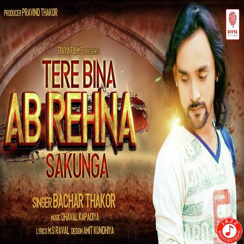 Tere Bina Ab Rehna Sakunga by Dj Jagat Raj - Download on PagalFree