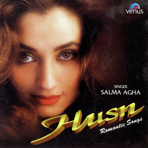 Aaya Tha Jis Pe Dil by Salma Agha - Download on PagalFree