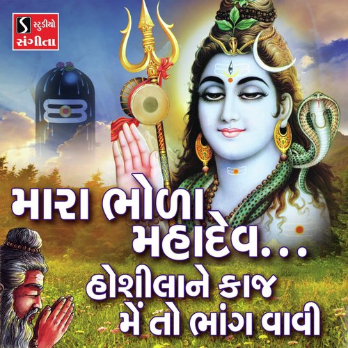 Hoshila Ne Kaaj Main to Bhaang Vaavi by Niranjan Pandya - Download on PagalFree