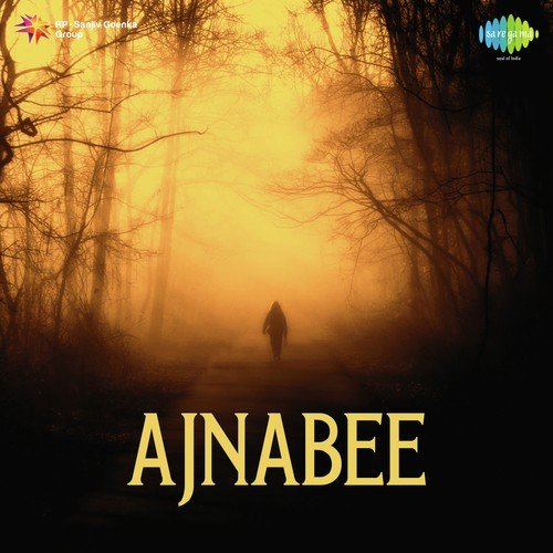 Ajnabee Duniya Mein by K. Dutta - Download on PagalFree
