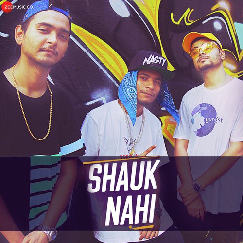 Shauk Nahi by Pardhaan - Download on PagalFree