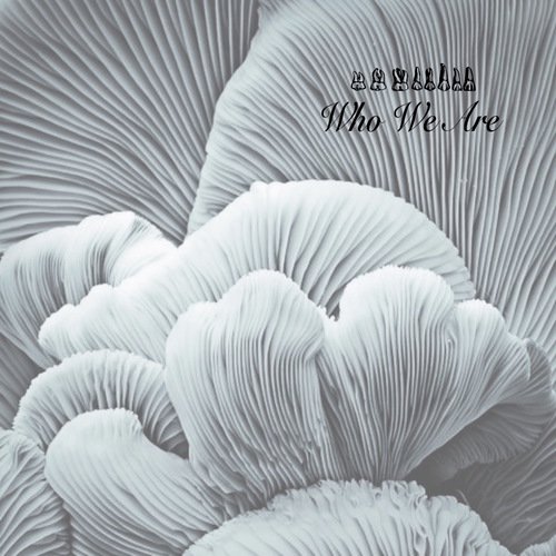 Yang (Steffen Sonnenschein Remix) by Theodor, Siemko - Download on PagalFree