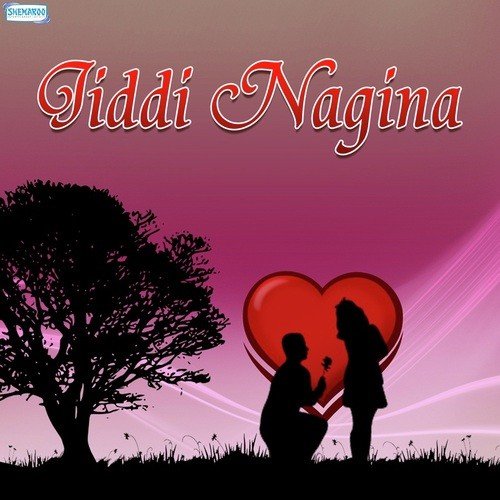 Tere Liye Duniya Ne Kiya by Various Artists - Download on PagalFree