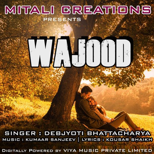 Wajood by Suhail Rais Khan, Sanjeevani Bhelande - Download on PagalFree