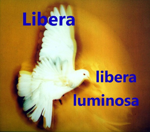 Ave Maria (Arranged for Chorus by Prizeman) by Libera - Download on PagalFree