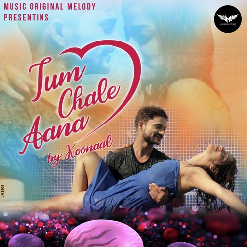 Tum Chale Aana by Gaurav Dogra - Download on PagalFree