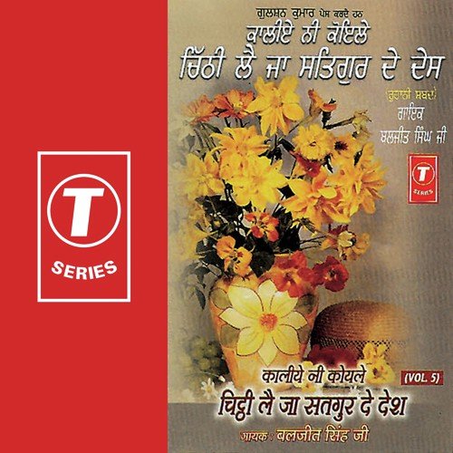 Mere Satgur Mil Gaye Raat Saiyo Ni by Baljit Singh Ji - Download on PagalFree