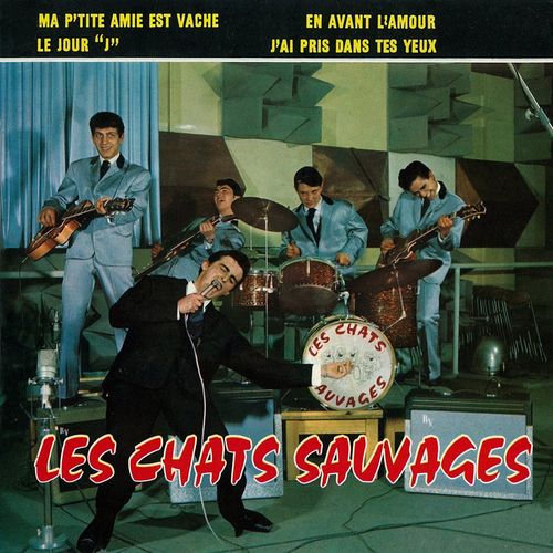 Jai pris dans tes yeux by Les Chats Sauvages - Download on PagalFree