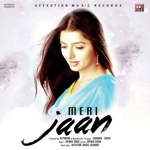 Meri Jaan by Rishabh Srivastava - Download on PagalFree