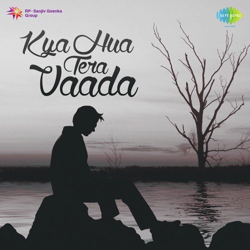 Dil Ke Arman Ansuon Men Bah Gaye (From Nikaah) by R.D. Burman - Download on PagalFree