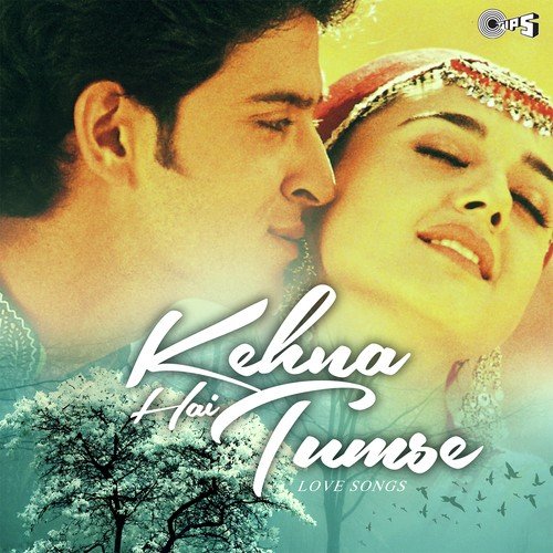 Jo Haal Dil Ka (From Sarfarosh) by Sanjeev-Darshan - Download on PagalFree