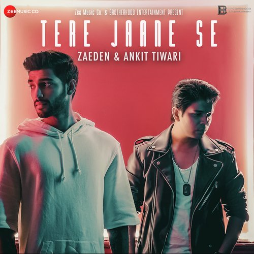 Tere Jaane Se by Aamir Ali Sultan - Download on PagalFree