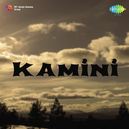 Koi Barbad Hota Hai by Vinod - Download on PagalFree