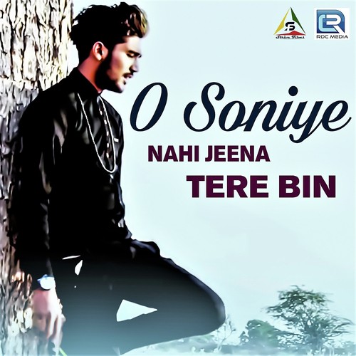 O Soniye Nahi Jeena Tere Bin by Rohit Naagar - Download on PagalFree