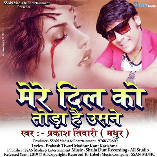 Mere Dil Ko Toda hai Usne by Rockstar Vicky - Download on PagalFree
