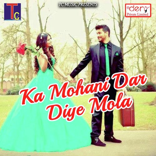 Gori Nari Bholi Bhali by Various Artists - Download on PagalFree