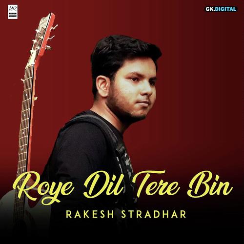Roye Dil Tere Bin by Anurag Maurya and Gul Saxena - Download on PagalFree