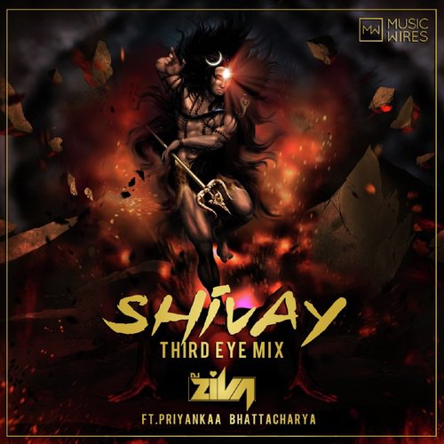 Shivay (Third Eye Mix) by Aamir Shaikh, Faraaz Ahmed, Aavya Gupta - Download on PagalFree