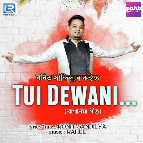 Tui Dewani by Ronit Sandilya - Download on PagalFree