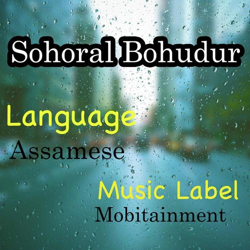 Sah Bagan by Barnali Kalati, Raj Kishore, Barnali Kalati, Naba Kumar Gogoi - Download on PagalFree