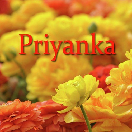 Lihibi by Priyanka Bharali - Download on PagalFree