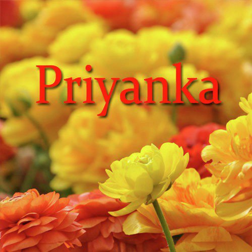 Sachtiya by Priyanka Bharali - Download on PagalFree