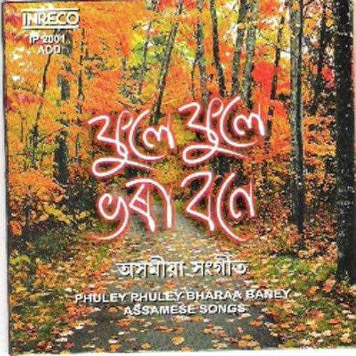 Chal Mini Assam Jabo by Various Artists - Download on PagalFree