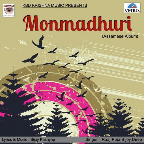 Apurbo by Various Artists - Download on PagalFree