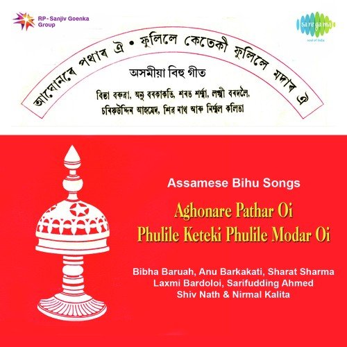 Phulile Naharar Phul by Saru Gohai - Download on PagalFree