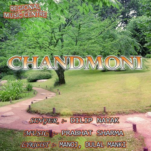 Jatan Kori Phusli Oke by Dilip Nayak - Download on PagalFree