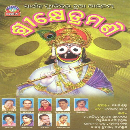 Jetedina Rahi Thiba by Bikash Shukla - Download on PagalFree