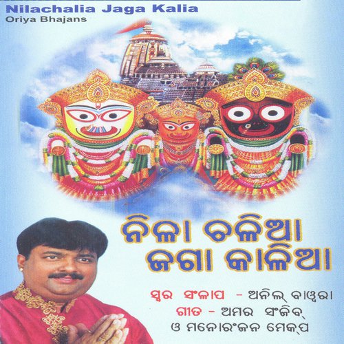 Radhao Nipuro Kahe by Anil Bawra - Download on PagalFree