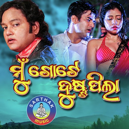 Haye Mora Diwani by Bidyadhara Sahu - Download on PagalFree